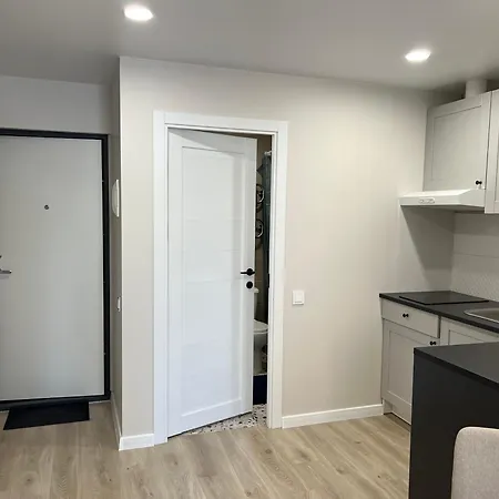 Апартаменты Tyzenhauzai Appartments